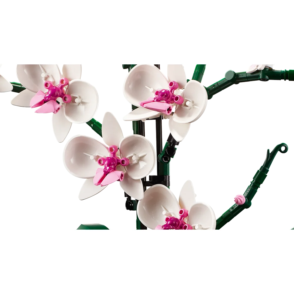 LEGO Botanische collectie - Orchidee - 10311